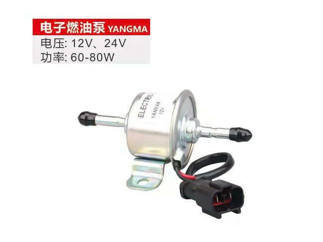 电子燃油泵YANGMA